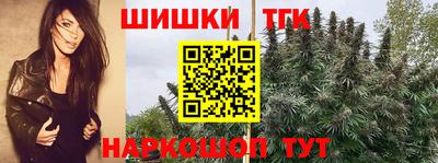 молекула духа Бердск