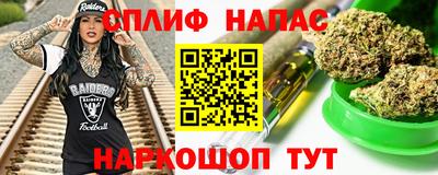 молекула духа Бердск