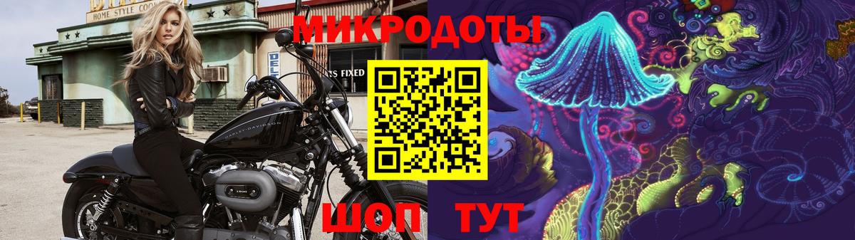Галлюциногенные грибы Cubensis  Вход с VPN  Галлюциногенные грибы GOLDEN TEACHER  Новозыбков 