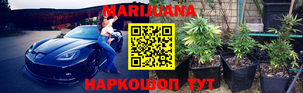 Бошки марихуана конопля  Вход с VPN  Канабис планчик  МАРИХУАНА тримм  Новозыбков 